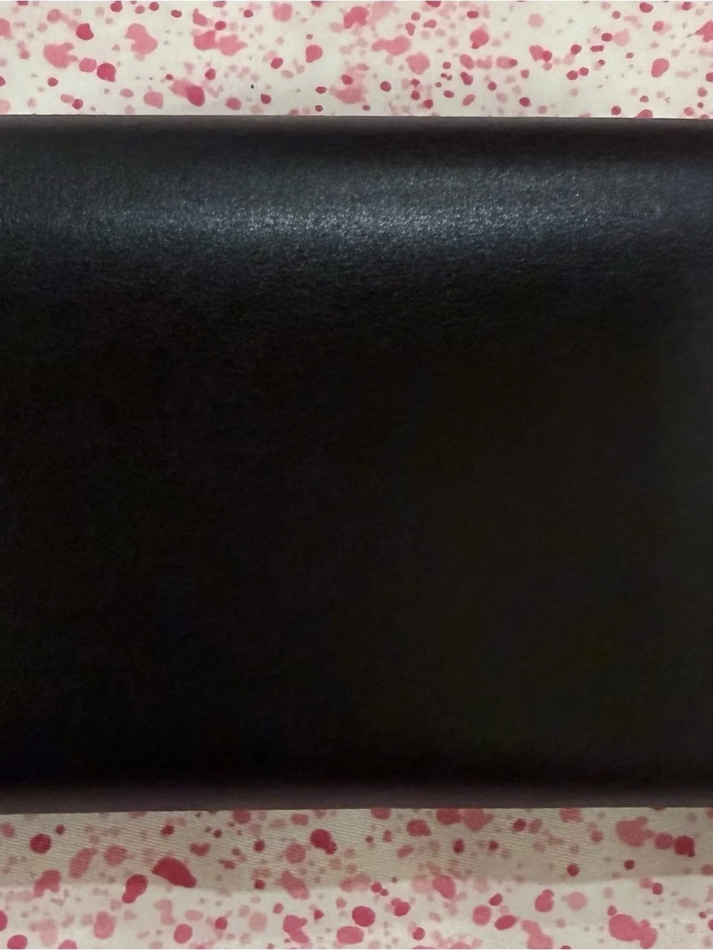 MaxMara Black Sunglasses Case with Gold Logo